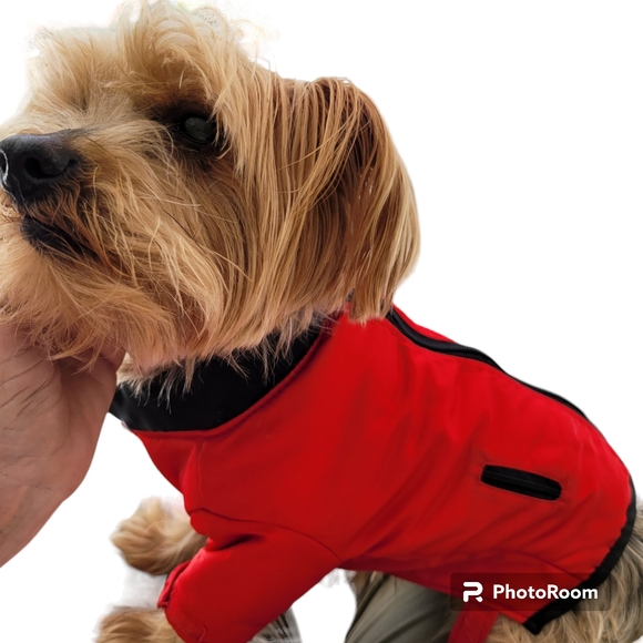 Unbranded Dog Windbreaker Doggie Jacket No Size Tag On Jacket